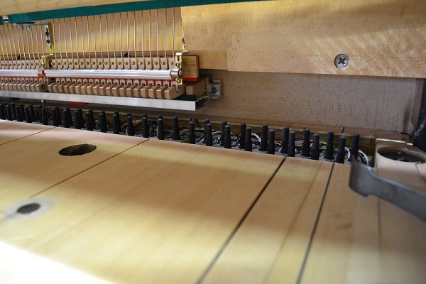 Pianos Daoust - Système Prodigy Prorecord de Pianodisc